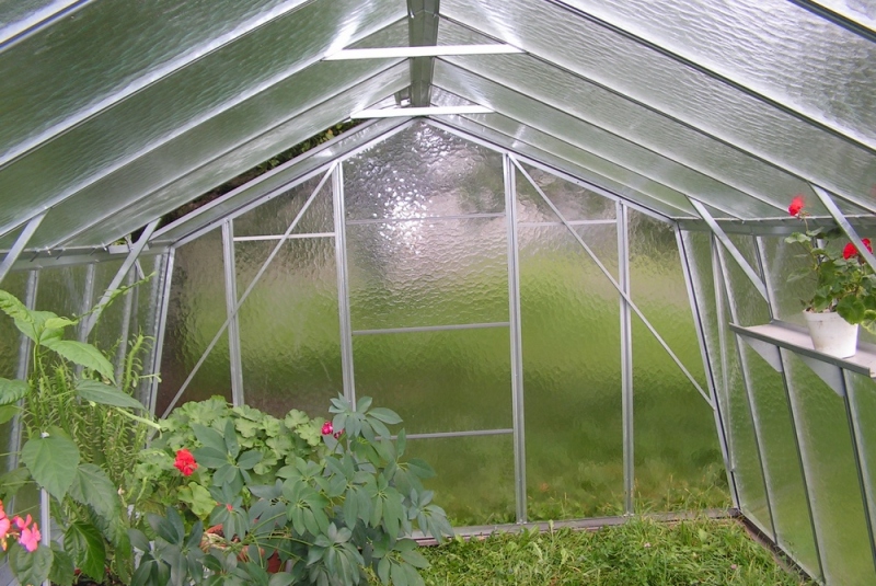 Univerzál Univerzál