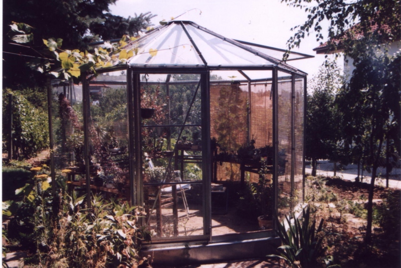 Skleníky Skleníky