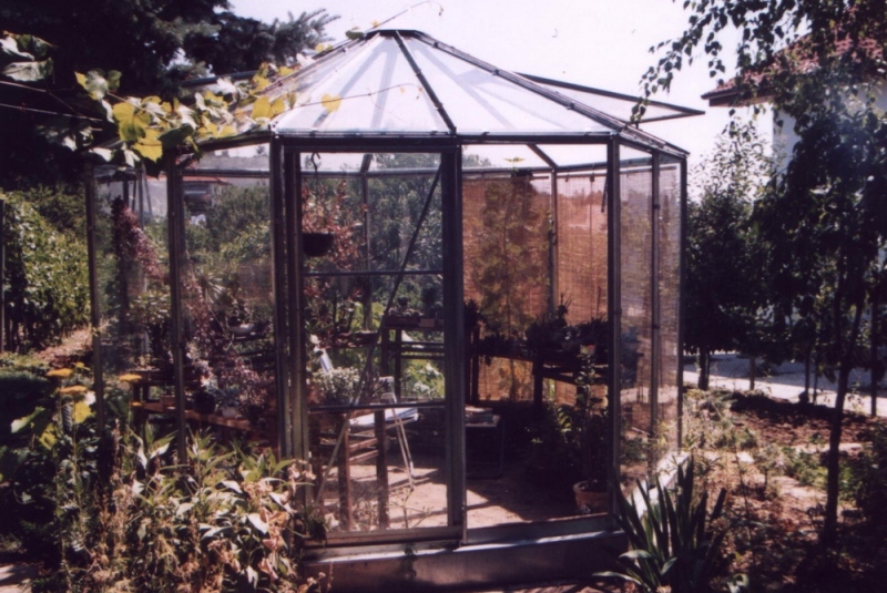 Sedemuholník Sedemuholník