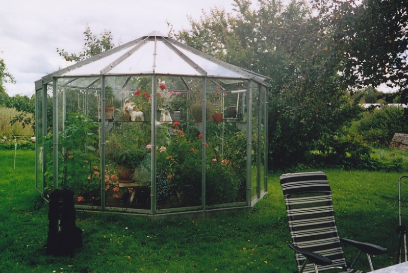 Sedemuholník Sedemuholník