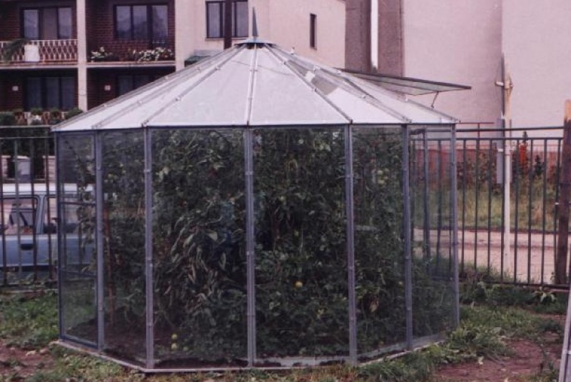 Sedemuholník Sedemuholník