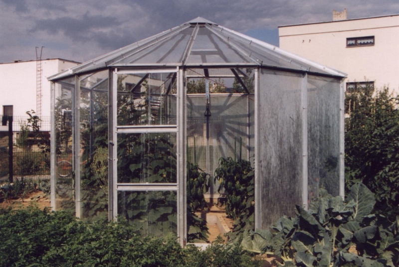 Osemuholník Osemuholník